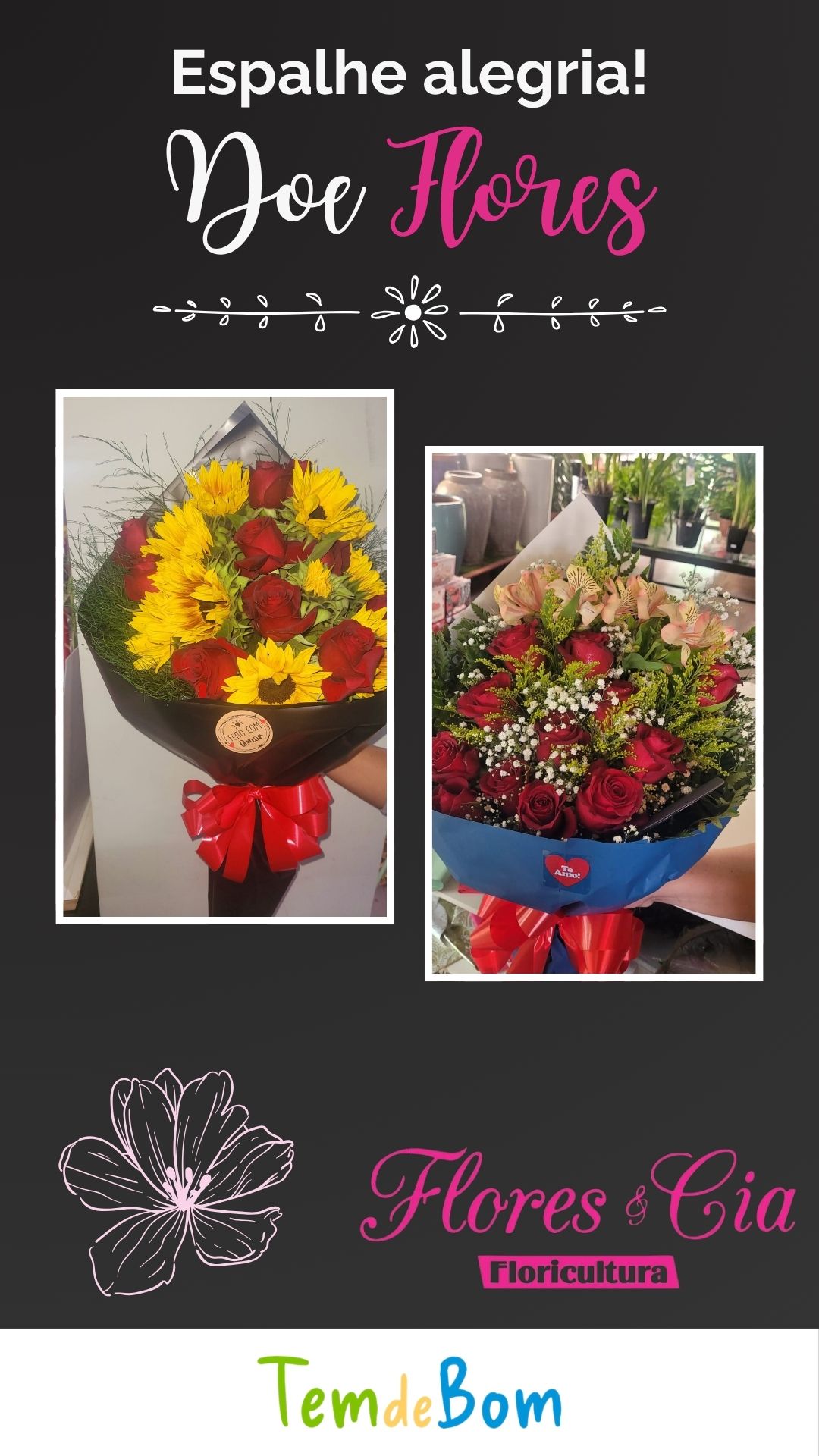 Material de divulgação que publicavamos no instagram para as empresas